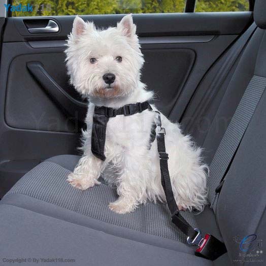 قلاده سگ مخصوص خودرو با قفل کمربندی ‏Trixie